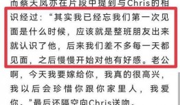蔡天凤最新爆料视频大全,揭秘事件背后真相