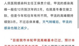 甲流最新情况爆料,全球防控形势与病例分析概览