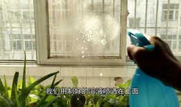 玻璃最新爆料新闻视频,揭秘科技巨头最新研发突破