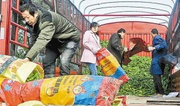 夏邑县北岭镇爆料案最新,揭秘背后真相与调查进展